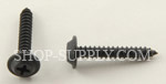 Black Phosphate Finish Trim Screws 2